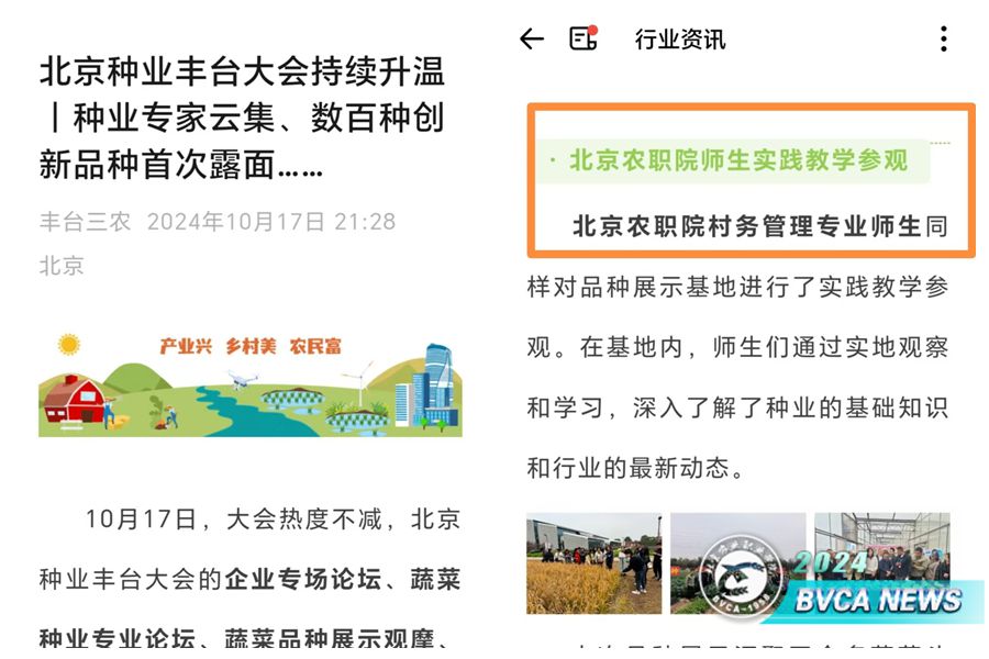 图1_副本